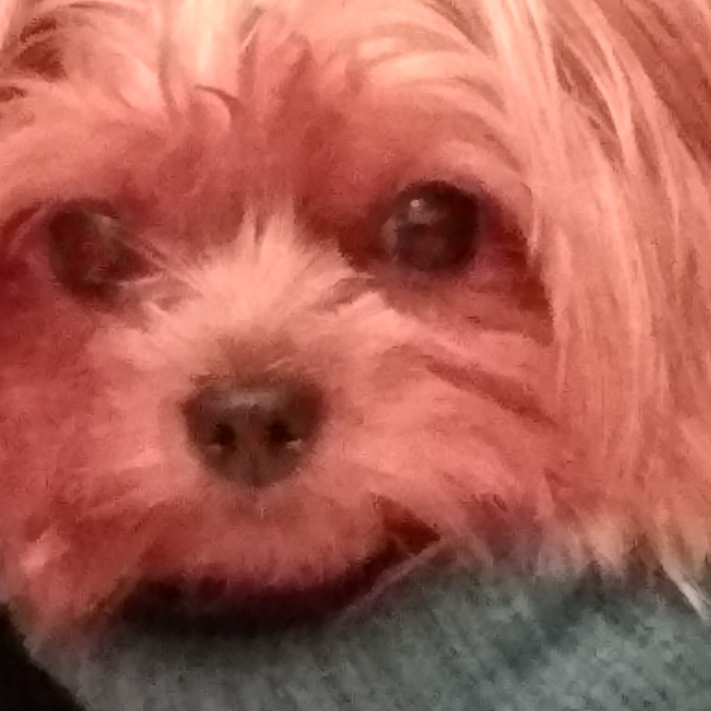 Meet your Posher, Arya